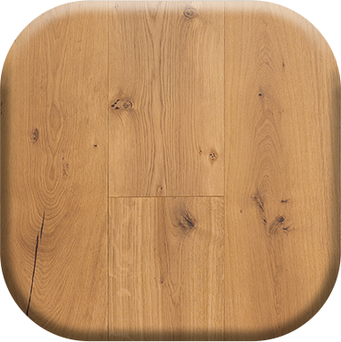 image of the collection